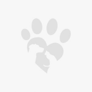 Pet Memorial Placeholder